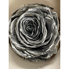 PRESERVED ANN SOPHIE ROSE HEAD - SILVER