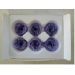 Preserved Multi-Coloured & Rainbow Rose Heads - MDM