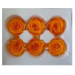 Preserved Standard Rose Head - MDM