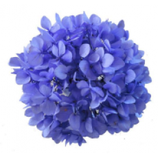 Preserved Hydrangea On A Stem Pastel 15cm - Lila