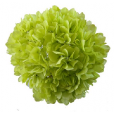 Preserved Hydrangea On A Stem Pastel 15cm - Pistache 