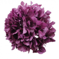 Preserved Hydrangea On A Stem Pastel 15cm - Plum 
