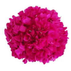 Preserved Hydrangea on a Stem Pastel 15cm - Shocking Pink