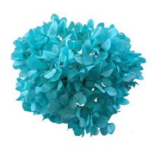 Preserved Hydrangea on a  Stem Pastel15cm - Tiffany
