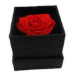 Preserved Rose Heart Shaped in Box