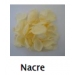 Preserved Rose Petals 