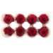 Preserved Standard Rose Head - PTT