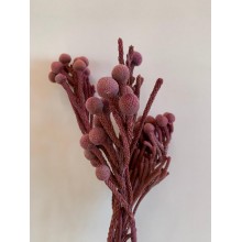 Dried Brunia - Berry