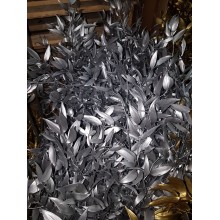 Preserved Ruscus Italian - Silver Metal 