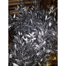 Preserved Ruscus Italian - Silver Metal 