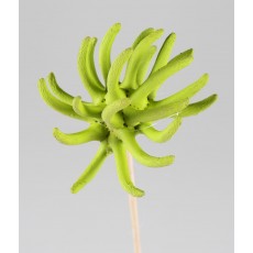 Spidergum Claws Lime 