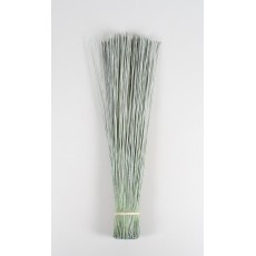 Vleireed Light Green 