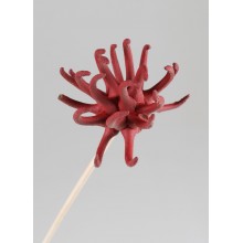 SPIDERGUM CLAWS RED