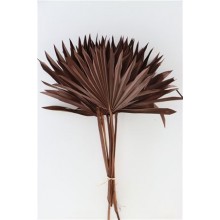 Dried Spear Palm Chocolate 