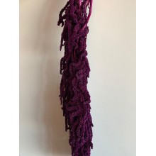 Preserved Amaranthus - Purple