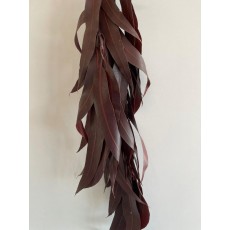 Bluegum Red