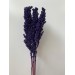 Sorghum  - Dark Blue / Purple 