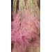 Preserved STYPA Pink