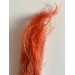 Preserved Stypa - Orange 