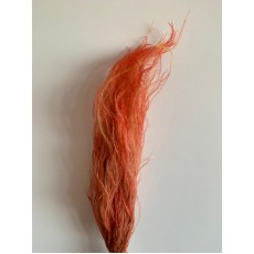 Preserved Stypa - Orange 