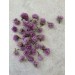 Chive Flower 