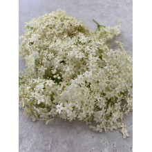 Elderberry