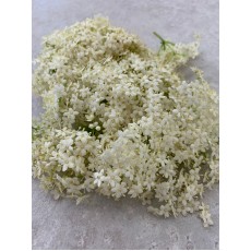 Elderberry
