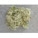 Elderberry