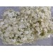 Elderberry