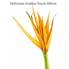 Heliconia Golden Torch