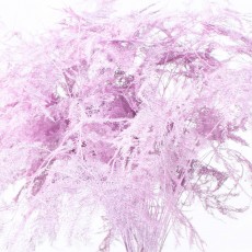 Asparagus - Painted New Pink