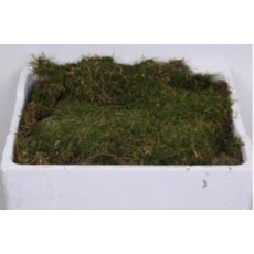 Moss Flat
