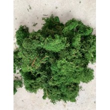 Moss Leaf Green