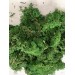 Moss Leaf Green