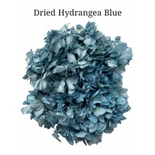 Hydrangea Dried -  Blue