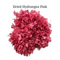 Hydrangea Dried -  Pink 
