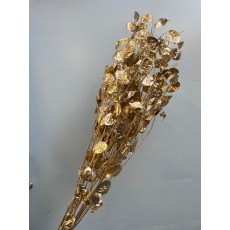 Lunaria Gold