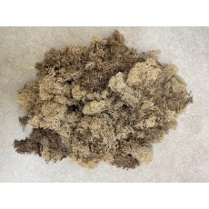 Moss Natural White