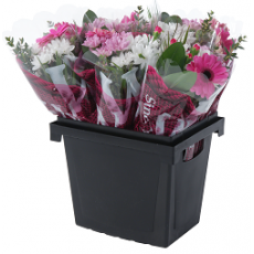 Procona Transport Boxes Florida Procona Transport Boxes Florida