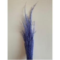 Preserved Pampas- Lilac