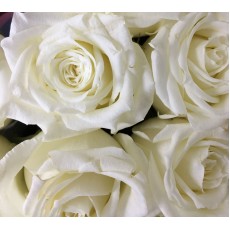 Playa Blanca Playa Blanca