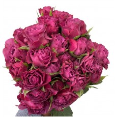 Spray Rose - Dark pink