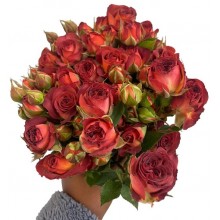 Spray Rose - Burnt Red