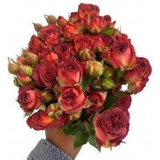 Spray Rose - Burnt Red