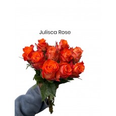 Rose Julisca 