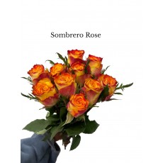 Rose Sombrero