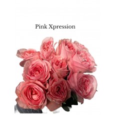 Rose Pink Xpression