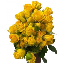 Spray Rose - Yellow