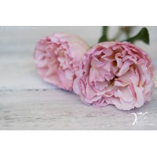 Princesse Charlene De Monaco