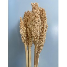 Sorghum - Bleached